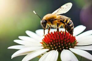 a bee on a white flower with a blurry background. AI-Generated photo