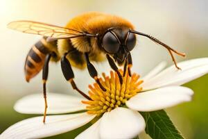un abeja es en un blanco flor con un Dom en el antecedentes. generado por ai foto