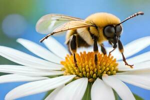 un abeja en un blanco flor con un azul antecedentes. generado por ai foto