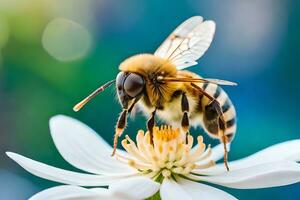 un abeja es sentado en un blanco flor. generado por ai foto