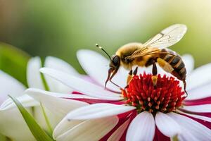 a bee on a flower with a green background. AI-Generated photo