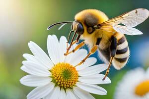 un abeja es en un blanco flor con un amarillo y negro a rayas cuerpo. generado por ai foto