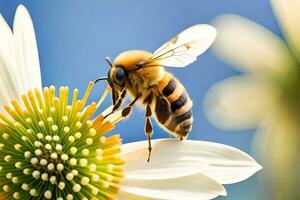 a bee is on a white flower with blue sky background. AI-Generated photo