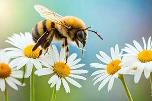 un abeja es en pie en algunos blanco margaritas generado por ai foto