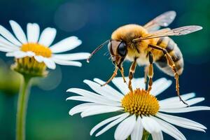 a bee is standing on a daisy with its wings spread. AI-Generated photo