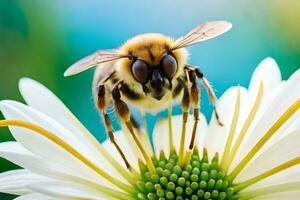 bee on white flower with blue background. AI-Generated photo