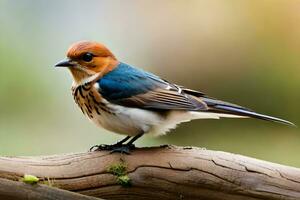 a small bird is sitting on a branch. AI-Generated photo