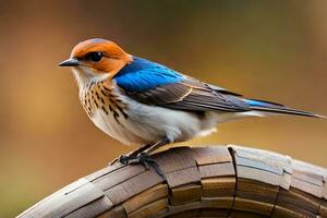 a blue and orange bird sitting on top of a wooden fence. AI-Generated photo