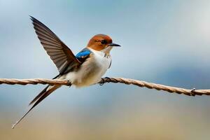 un pájaro sentado en un cable con sus alas desparramar. generado por ai foto