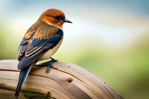 un pequeño pájaro es sentado en un de madera correo. generado por ai foto
