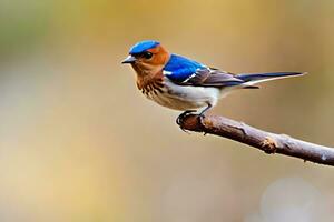 a blue and white bird is perched on a branch. AI-Generated photo
