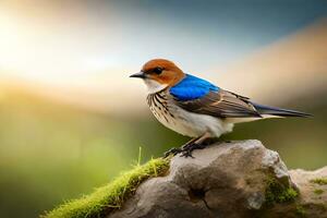 a blue and white bird is sitting on a rock. AI-Generated photo