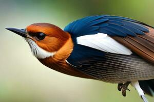 un pájaro con un vistoso cabeza y cuerpo. generado por ai foto