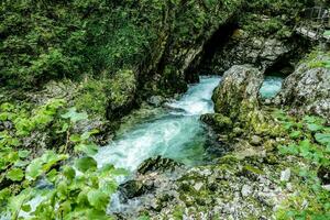 Stream of water photo