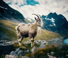 alpino majestad ai generado imagen de cabra montés con montaña antecedentes foto