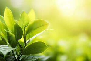 Nature of green leaf in a garden in summer under sunlight. Spring background. AI Generated photo