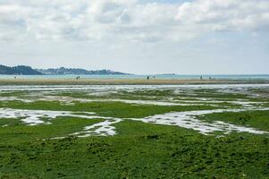 verde algas invasión ecológico preocupación en saint-michel-en-grve, Bretaña, Francia foto