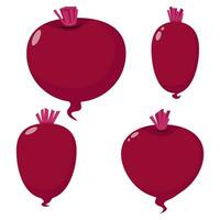 Set of different vector flat beetroot without leaves