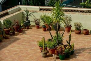 a patio with many potted plants on a balcony photo