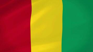 Guinea golvend vlag realistisch animatie video