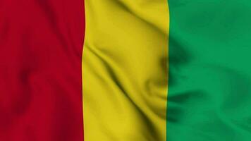 Guinea Waving Flag Realistic Animation Video