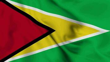 Guyana golvend vlag realistisch animatie video