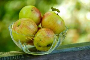 Apples in a bowl photo