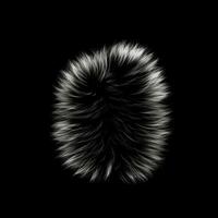 Fluffy furball, plush sphere. Fur toy, pompom. Black and white fur isolated on a black background. Fluffy animal fur, AI generated photo