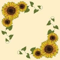 Colored sunflower frame Flower border Vector