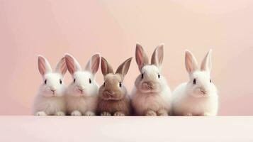 Five adorable rabbits in a minimalist setting photo