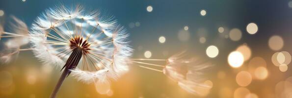 Abstract blurred nature background dandelion seeds parachute. Bokeh pattern. Generative AI photo