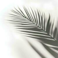 AI Generated Palm Leaf Shadow Overlay Background photo