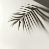 AI Generated Palm Leaf Shadow Overlay Background photo