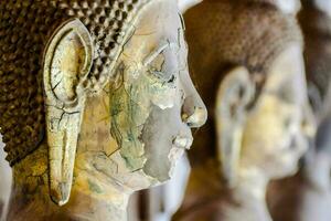 buddha statues are lined up in a row photo