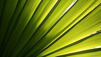 Palm leaf closeup background and texture AI Generative photo