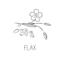 Sketch Flax Simple Vector Illustration in Doodle Style