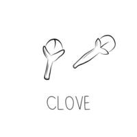 Sketch Clove Simple Vector Illustration in Doodle Style