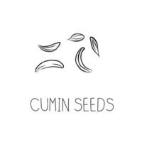 Sketch Cumin Seeds Simple Vector Illustration in Doodle Style