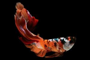 The betta's tail adorned with intricate designs and vibrant colors glides through the water like a delicate work of art captivating the eyes of those who witness its elegance. photo