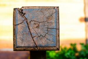 Square shapes of hardwood with natural cracks patterns, Texture of old wood, Cooden bark close up-Image photo