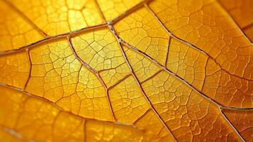 Close up texture leaf structure macro photography, abstract texture, Generative AI illustration photo