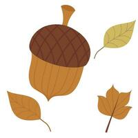 Fall and Autumn Season Holiday icon Vector Arts. Objects and stuffs around October Autumn Season with orange, brown, and green natural color resembling Fall season