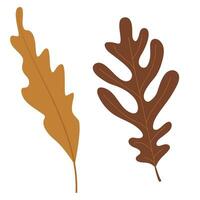 Fall and Autumn Season Holiday icon Vector Arts. Objects and stuffs around October Autumn Season with orange, brown, and green natural color resembling Fall season