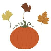 Fall and Autumn Season Holiday icon Vector Arts. Objects and stuffs around October Autumn Season with orange, brown, and green natural color resembling Fall season