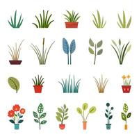 colección de estaciones vector césped, hoja y flor natural, orgánico, bio y eco aislado ilustración