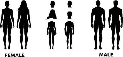 silueta humano cuerpo masculino y hembra con y sin pelo vector