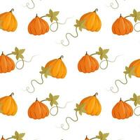 Cute pumpkin pattern. Autumn vibe vector illustration with pumpkins in cartoon style.