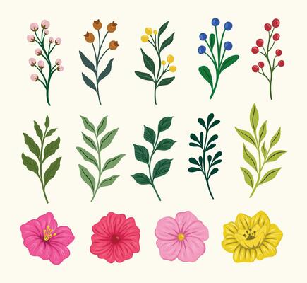 Trendy botanical elements, Hand drawn line leaves branches and blooming