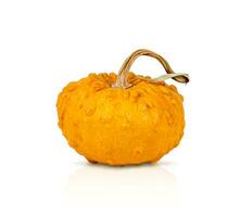 yellow small pumpkin isolated on white background photo