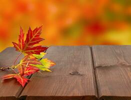 Red maple leaves on wooden surface on autumn blurred background photo